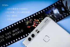 使得预览和编纂照片变得愈加曲不雅和