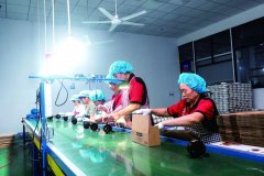 <b>德化县优化升级扶植运</b>